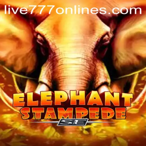 Discover the Thrills of 